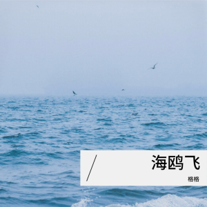 收听格格的海鸥飞 (cover: 龙梅子) (完整版)歌词歌曲