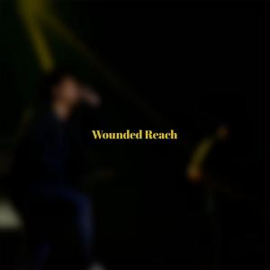 Various的专辑Wounded Reach