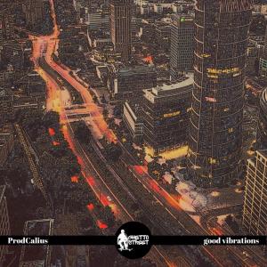 Listen to good vibrations song with lyrics from ProdCalius