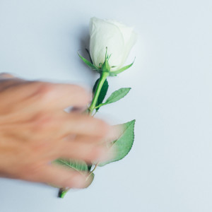 Album All We Need (Low Key) oleh LOS LEO