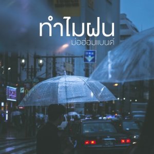 ดาวน์โหลดและฟังเพลง ทำไมฝน พร้อมเนื้อเพลงจาก ม่อฮ่อมแบนด์