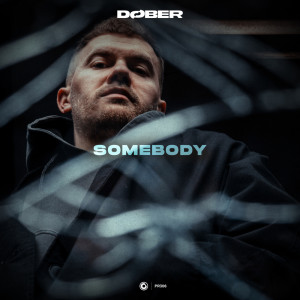 Album Somebody from DØBER