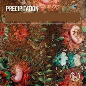Thomas Bellingham的專輯Precipitation