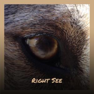 ดาวน์โหลดและฟังเพลง Relieves Goopy พร้อมเนื้อเพลงจาก Buter Malge