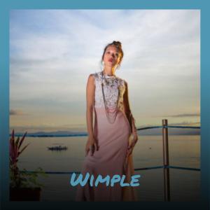 Various的专辑Wimple