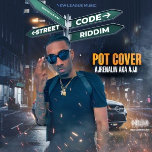 ดาวน์โหลดและฟังเพลง Pot Cover พร้อมเนื้อเพลงจาก Ajrenalin