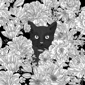 收聽YERM的แมวดำ歌詞歌曲