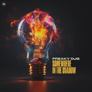 Album Somewhere In The Shadow oleh Freaky DJs