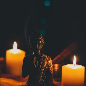 收聽Yoga的Acacia Pathway歌詞歌曲
