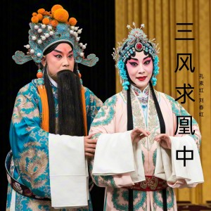 Listen to 将蔡兰英许配给范公子 song with lyrics from 孔素红