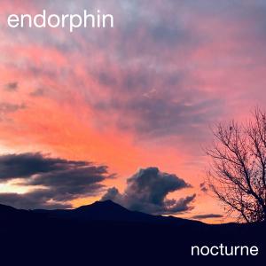 Album nocturne oleh Endorphin