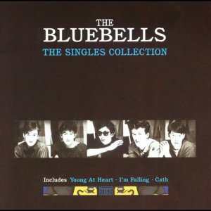 ดาวน์โหลดและฟังเพลง Everybody's Somebody's Fool (1984 Version) พร้อมเนื้อเพลงจาก The Bluebells