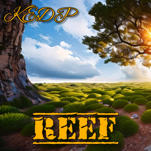 Album Кедр (Explicit) from Reef