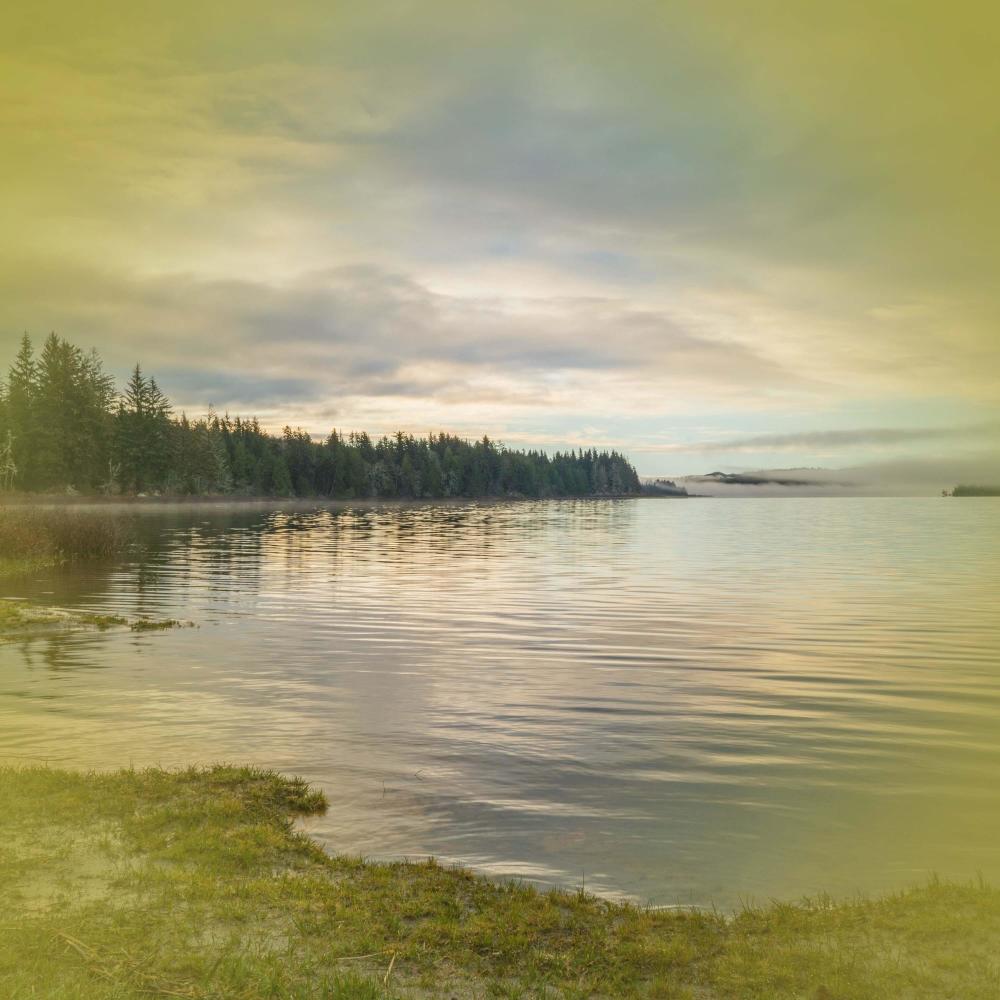Relax and Fall Asleep with the Calming Soothing Sounds of Frogs in a Lake