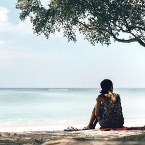 Listen to Under the Shade of a Tree song with lyrics from Treeko