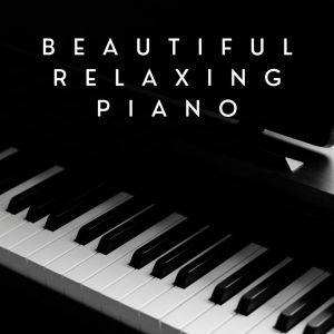 Various Artists的专辑Beautiful Relaxing Piano