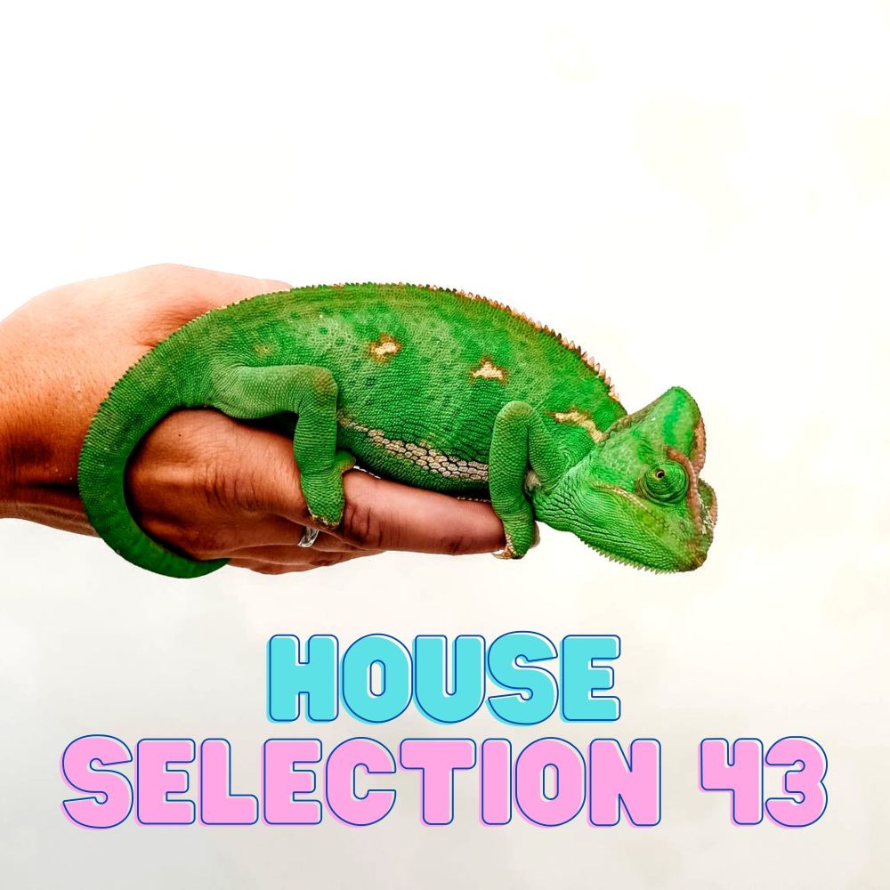 Someone Else (Silvio Gigante Edit)