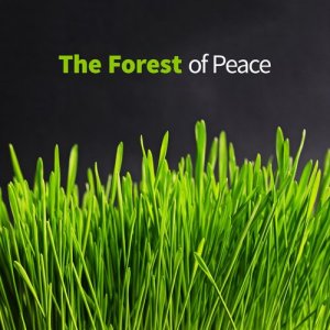 收聽Outside Broadcast Recordings的In the Stream歌詞歌曲