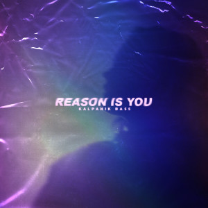 收听Kalpanik Bass的Reason Is You歌词歌曲
