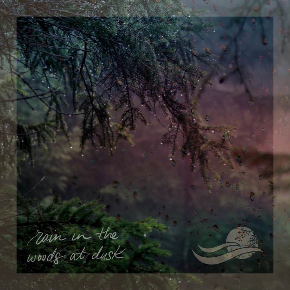 Light Wind in the Woods at Stoney Lake (loopable)