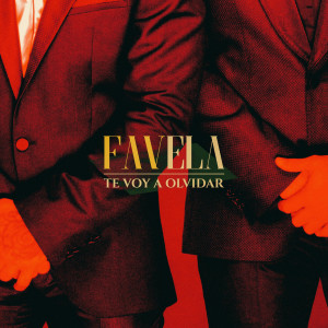 Album Te Voy a Olvidar from Favela