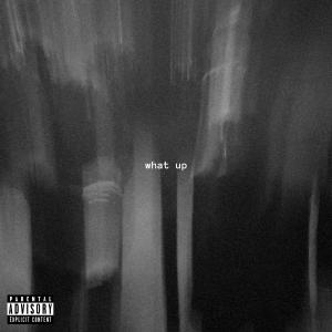 收聽Dev the Follower的What Up (with VK) (feat. VK) (Explicit)歌詞歌曲