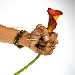 Listen to Flower (Explicit) song with lyrics from Hi Levelz