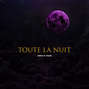 ดาวน์โหลดและฟังเพลง Toute La Nuit พร้อมเนื้อเพลงจาก Dro X Yani