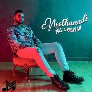 Listen to Neethanadi song with lyrics from Mr. Local Vocal