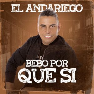 Listen to Bebo Porque Si song with lyrics from El Andariego
