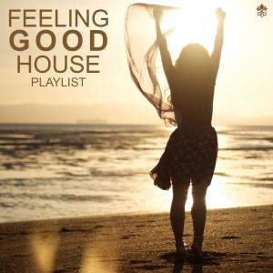 Listen to Flying High song with lyrics from Crisis
