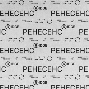 Album Ренесенс (Explicit) from Ridge