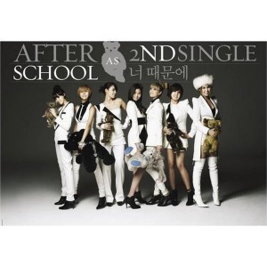 Dengarkan 너 때문에 (Because of you) lagu dari AFTERSCHOOL dengan lirik