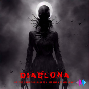 Negrito La Para 23的专辑Diablona