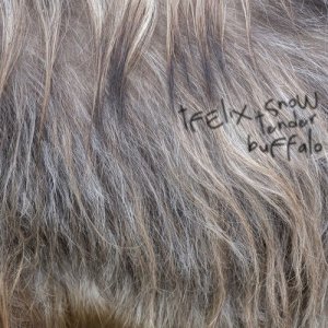 ดาวน์โหลดและฟังเพลง Tender Buffalo พร้อมเนื้อเพลงจาก Felix Snow