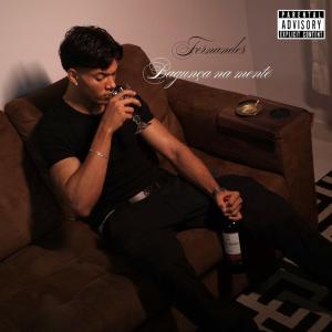 ดาวน์โหลดและฟังเพลง BAGUNÇA NA MENTE (Explicit) พร้อมเนื้อเพลงจาก Fernandes