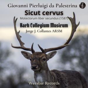Album Sicut cervus from Jorge J. Collantes