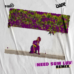 ดาวน์โหลดและฟังเพลง Need Sum Luv (Remix) พร้อมเนื้อเพลงจาก D'East