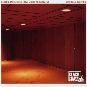 ดาวน์โหลดและฟังเพลง Self Assessment Ft. Maylay Sparks พร้อมเนื้อเพลงจาก Black Grass