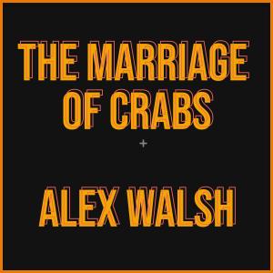 收聽Alex Walsh的The Marriage Of Crabs歌詞歌曲