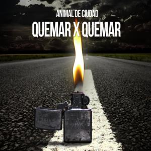 收聽Animal de Ciudad的Domingo歌詞歌曲