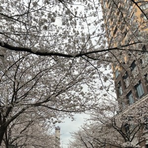 收聽104的Seasons歌詞歌曲