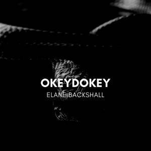 ดาวน์โหลดและฟังเพลง Okeydokey พร้อมเนื้อเพลงจาก Elane Backshall