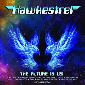 收聽Hawkestrel的12-String Shuffle歌詞歌曲