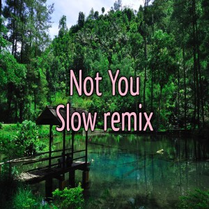 Not You Slow remix