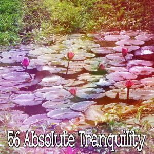 Dengarkan lagu Just Be nyanyian White Noise Meditation dengan lirik