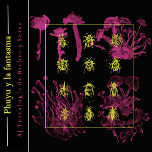 收聽Phuyu y la Fantasma的la Berenice歌詞歌曲