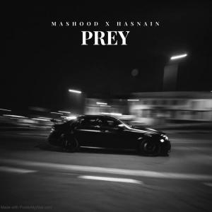 Listen to PREY (feat. mashood) (Explicit) song with lyrics from Hasnain Ali Music