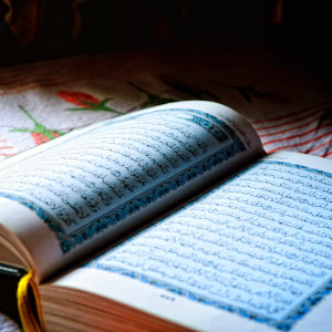 Quran With Beautiful Nature Sounds