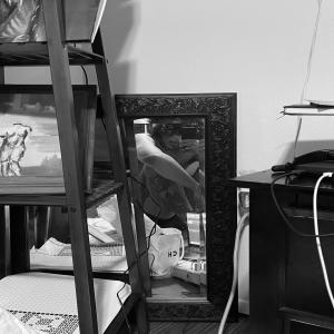 收聽N2U的want 2 luv u (Explicit)歌詞歌曲